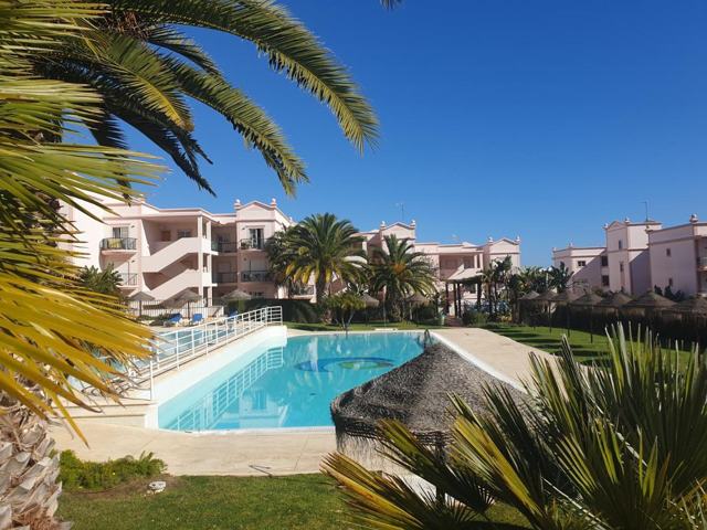 The resort swimming pool among the palms